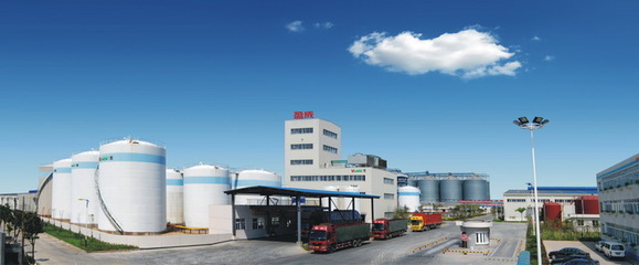 旭日大地棉花贸易(北京) 全球供应链中的中坚力量